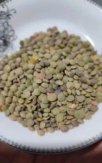 عدس زود پز