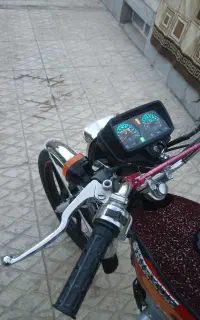 یک عدد شیرکوه ۲۰۰ عروسک