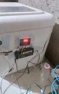 دستگاه جوجه کشی دستی ۳۰ تایی