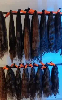 اولین خریدار و صادر کننده مو در غرب کشور