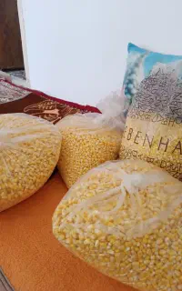 بذردون شده شیرین بلال هرروز