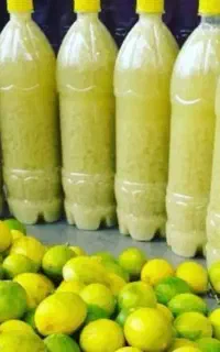 پخش عمده آبلیمو و آبغوره طبیعی