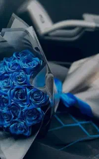 گل روبانی و مخملی