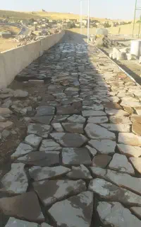 نیروی کار
