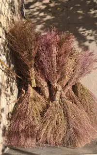 جارو دستی