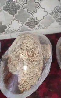 عسل کنار صدرصد طبیعی وحشی رویه چوب