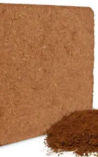 فروش خاکبرگ درجه یک مستقیم از تولیدی
