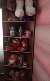کتابخانه کنجی یا جای دکوری