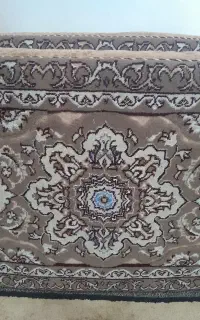 پشتی سالم