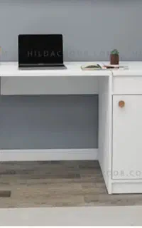 منشی خانم