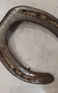 نعل اسب