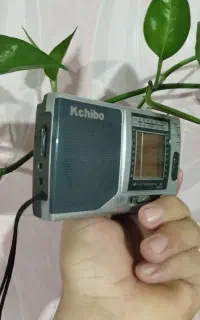 رادیو کاچیبو