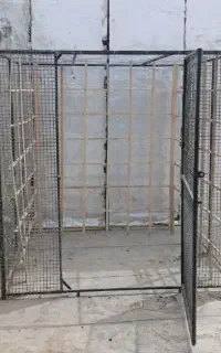 قفس کبوتر