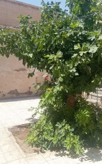 کارگرساختمانی هستم