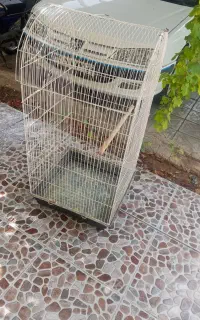 قفس