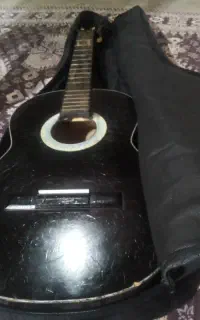 گیتار ایرانی