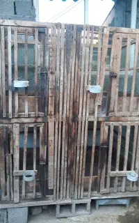 لانه تمام نراد