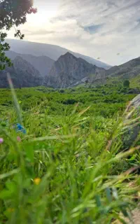جابجایی معلم از آبادان به کهگیلویه وبویراحمد
