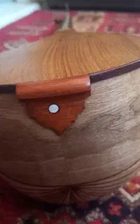 سه تار حرفه ای