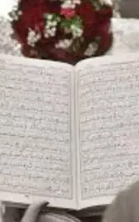 مناسب ترین عقدسرا