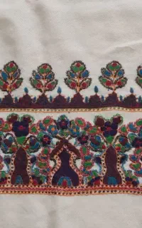 پته کاملا نو