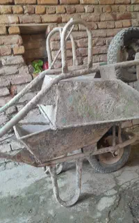 دوعدد فرغون درحدنو دانه ۲تومن