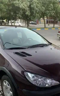 پژو ۲۰۶  sd دوگانه فابریک ۸۹