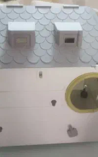 لانه پرنده