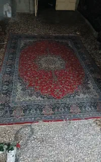 قالی ۱۲ متری سالم به فروش می‌رسد بدون سوختگی یا ،،