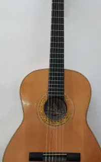 گیتار کلاسیک دانی اللا