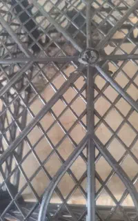 فروش سبدگوجه ای نونوفوری