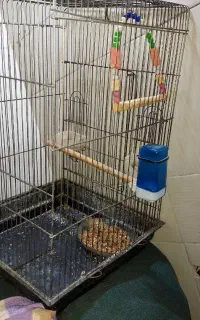 فروش قفس پرنده