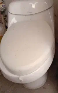 توالت فرنگی
