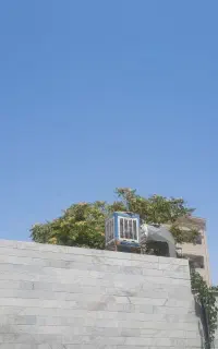کولرابی ابسال ۵۰۰۰
