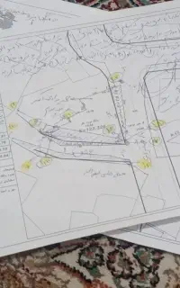 مشارکت‌ درساخت
