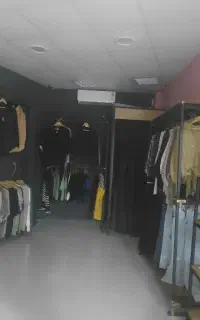 ۲ عدد تجاری بهار نارنج مناسب سرمایه گذاری
