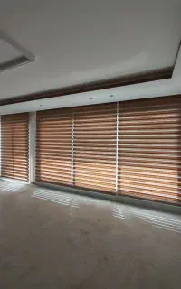 زبرا طرحدار . چاپی . دومکانیزم