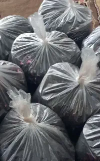 چای با طعم هل گل محمدی....