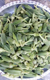 بامیه سبز