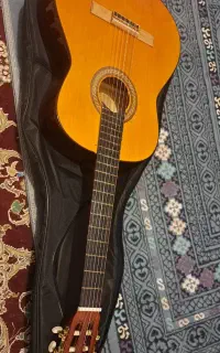 ساز.گیتار