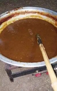 رب آلوچه تازه
