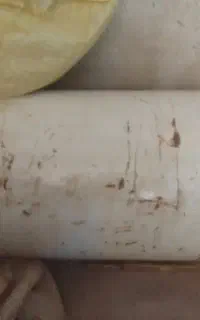 بالن سی انجی ۱۲ کیلو