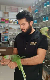 پرنده سرای اسکار