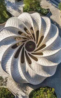 مجری حقوقی بی واسطه