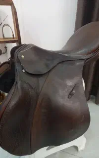 زین پرشی هانوور