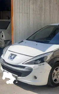 استادکارصافکار سواری و نیمه سنگین با تجربه
