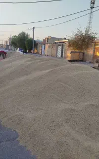 جو محلی