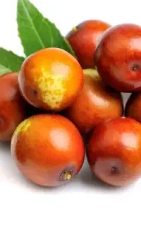 عناب درجه یک باغی