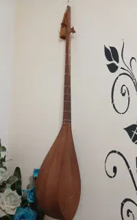 فروش دوتار