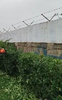 خدمات تمامی فضای سبزانجام میشود